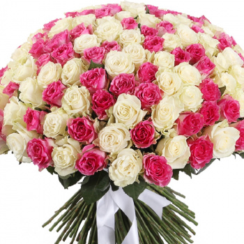 Букет MIX из 201 белой и розовой розы